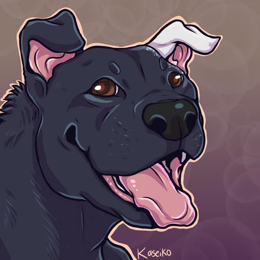 Boof - SkunkyDesigns